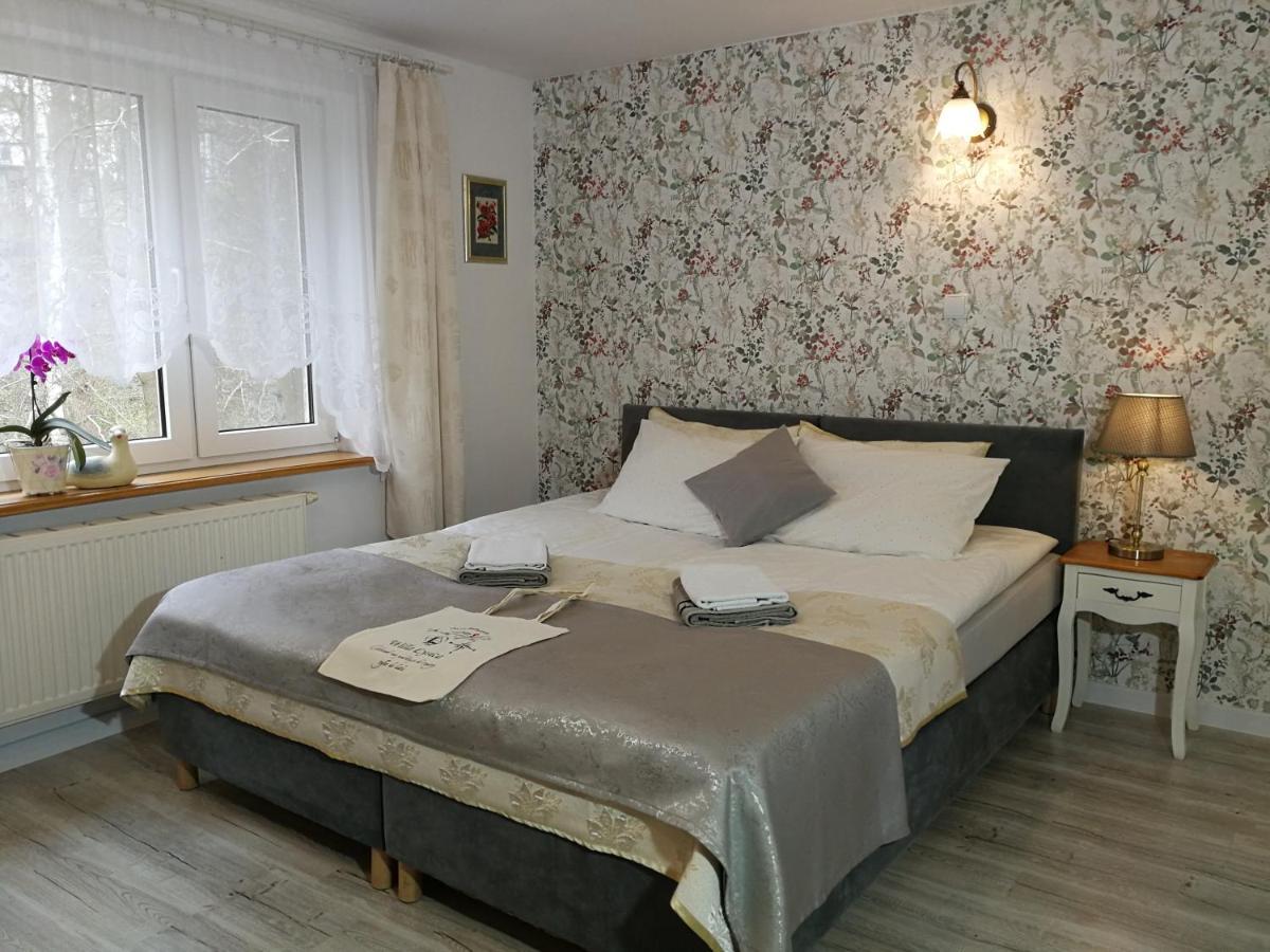 Willa Łysica Krynica Morska Esterno foto
