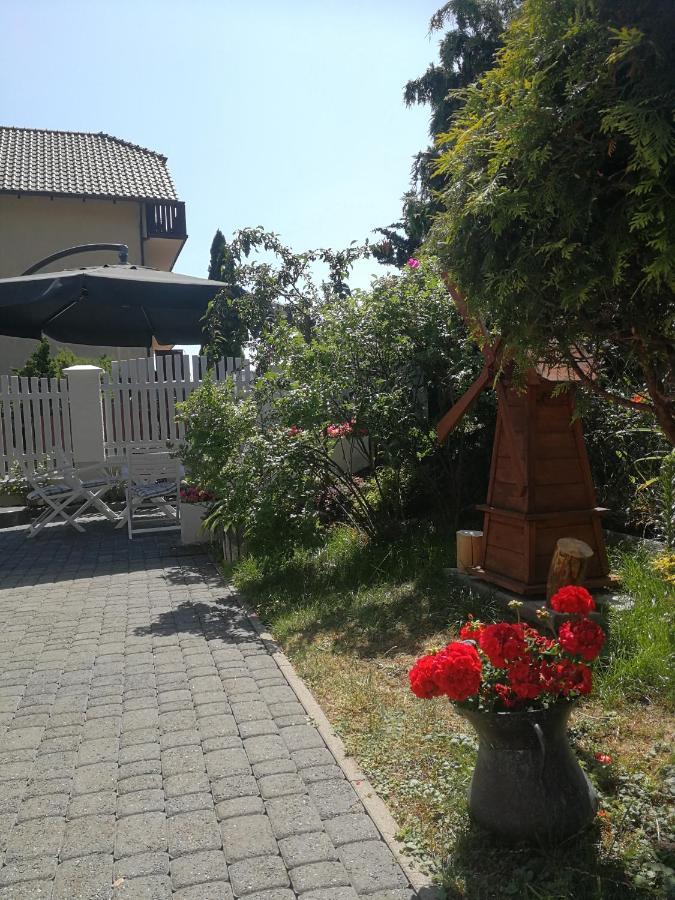 Willa Łysica Krynica Morska Esterno foto