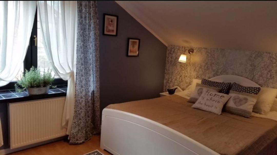 Willa Łysica Krynica Morska Esterno foto