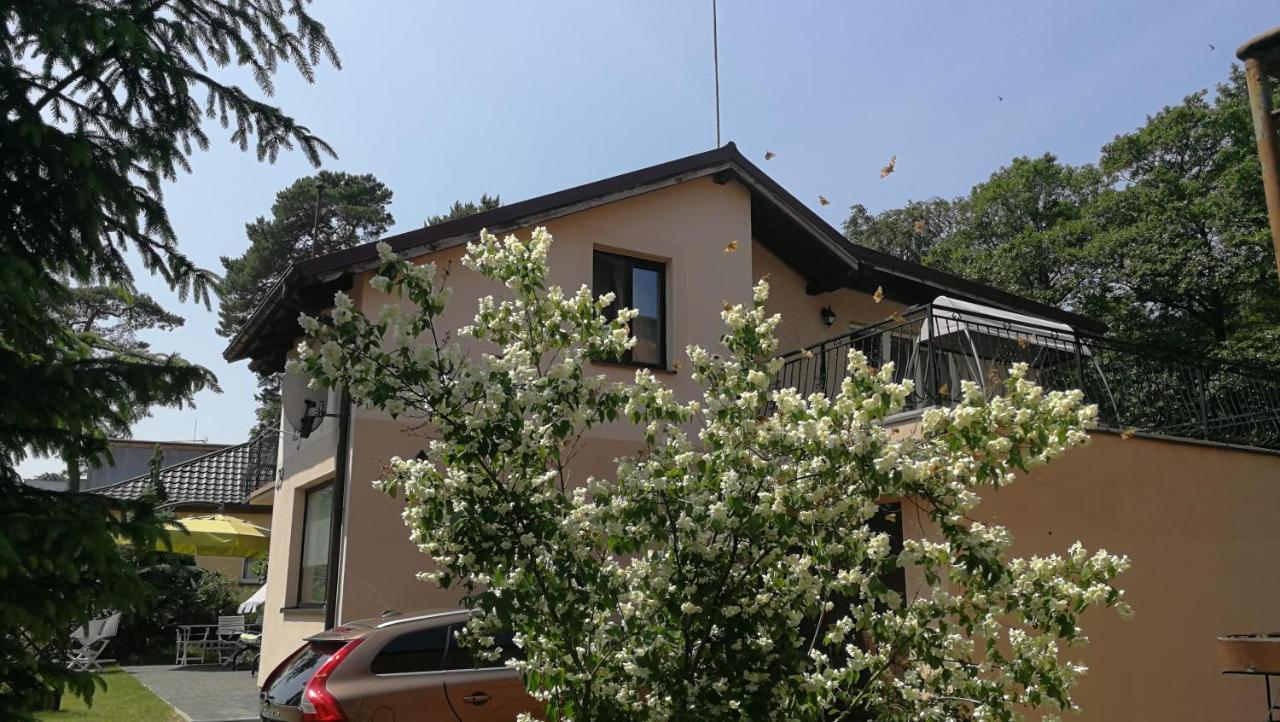 Willa Łysica Krynica Morska Esterno foto